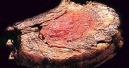 Prime Rib Special